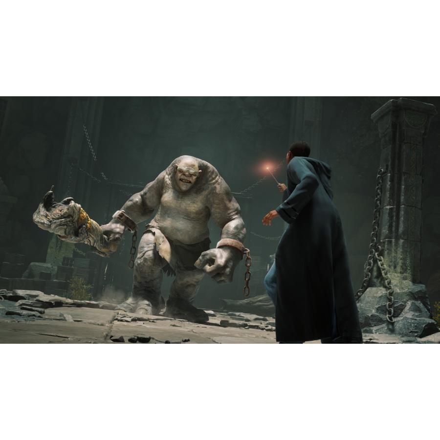 予約前日発送』{PS5} ホグワーツ・レガシー 価格改定版 WB Games(ELJM