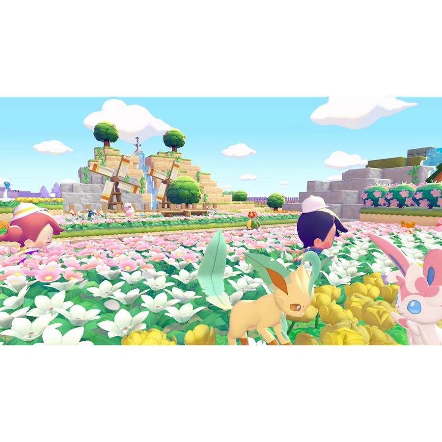 Pokemon（ポケモン） 『中古即納』{Switch2} ぽこ あ ポケモン