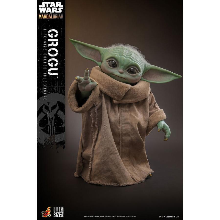 ホットトイズ（Hot Toys） 『新品即納』{FIG} ライフサイズ