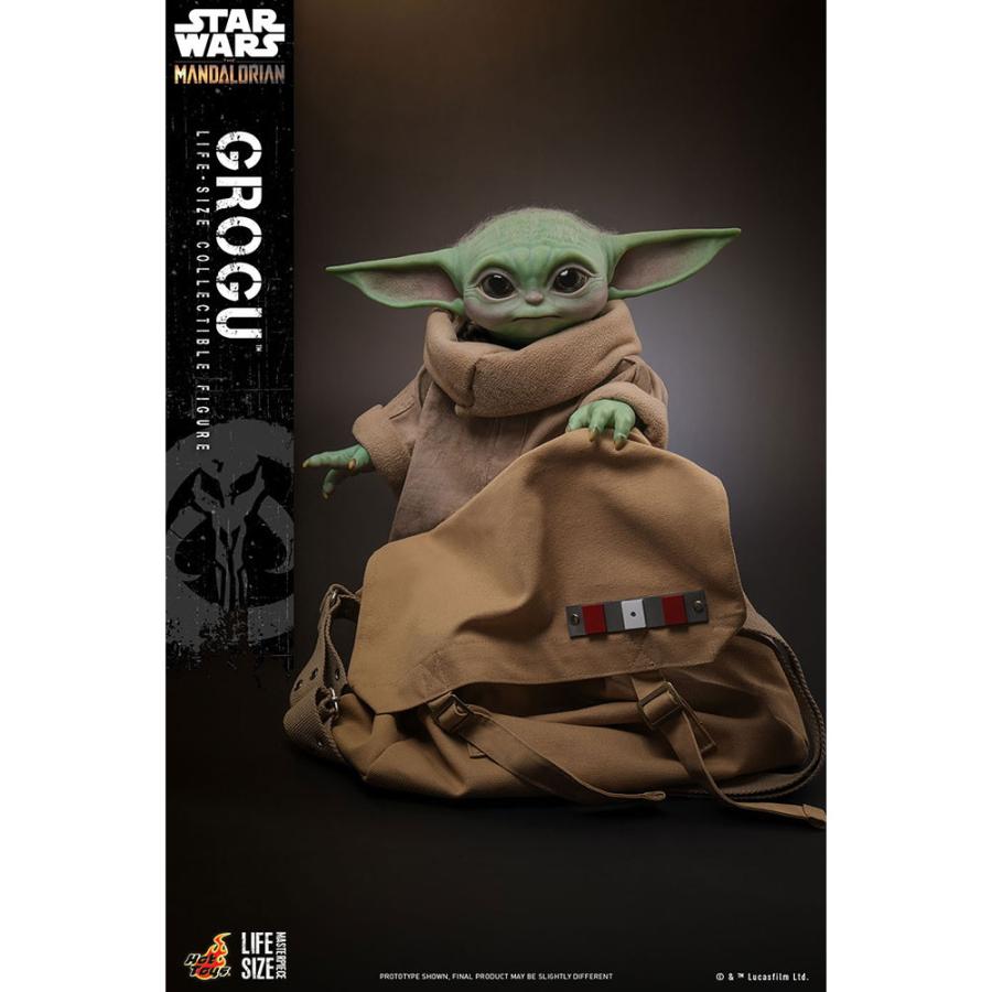 ホットトイズ（Hot Toys） 『新品即納』{FIG} ライフサイズ