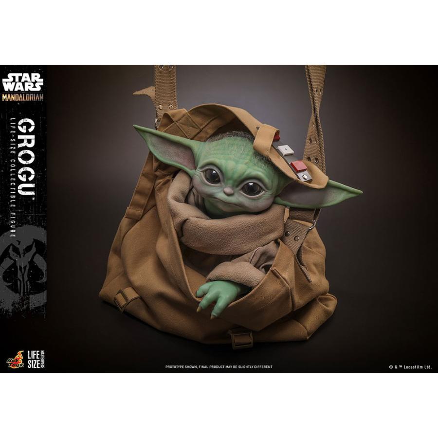 ホットトイズ（Hot Toys） 『新品即納』{FIG} ライフサイズ