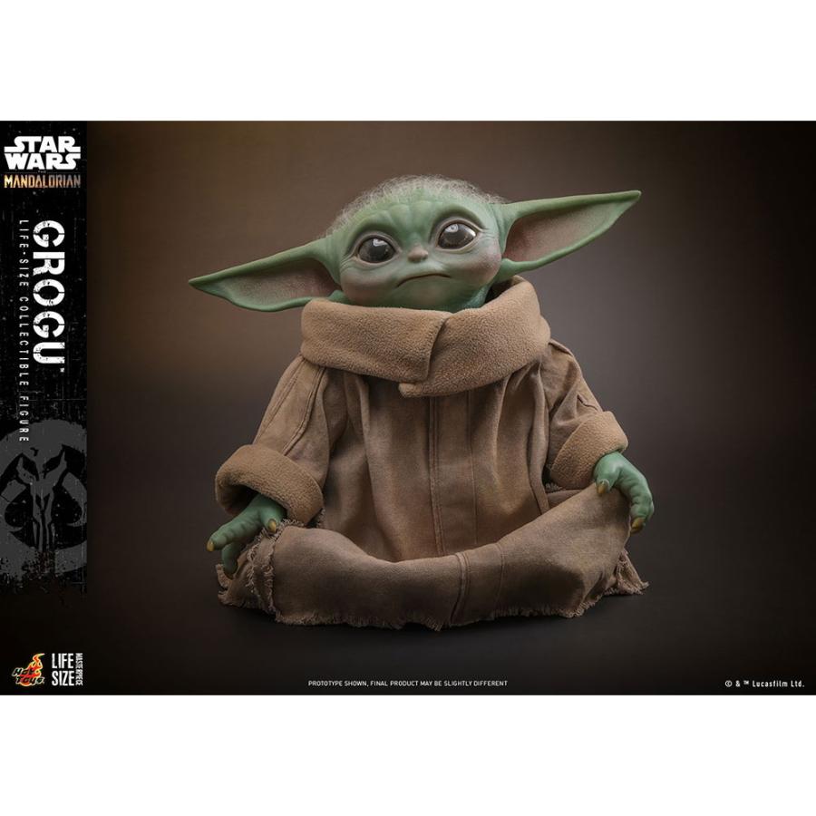 ホットトイズ（Hot Toys） 『新品即納』{FIG} ライフサイズ