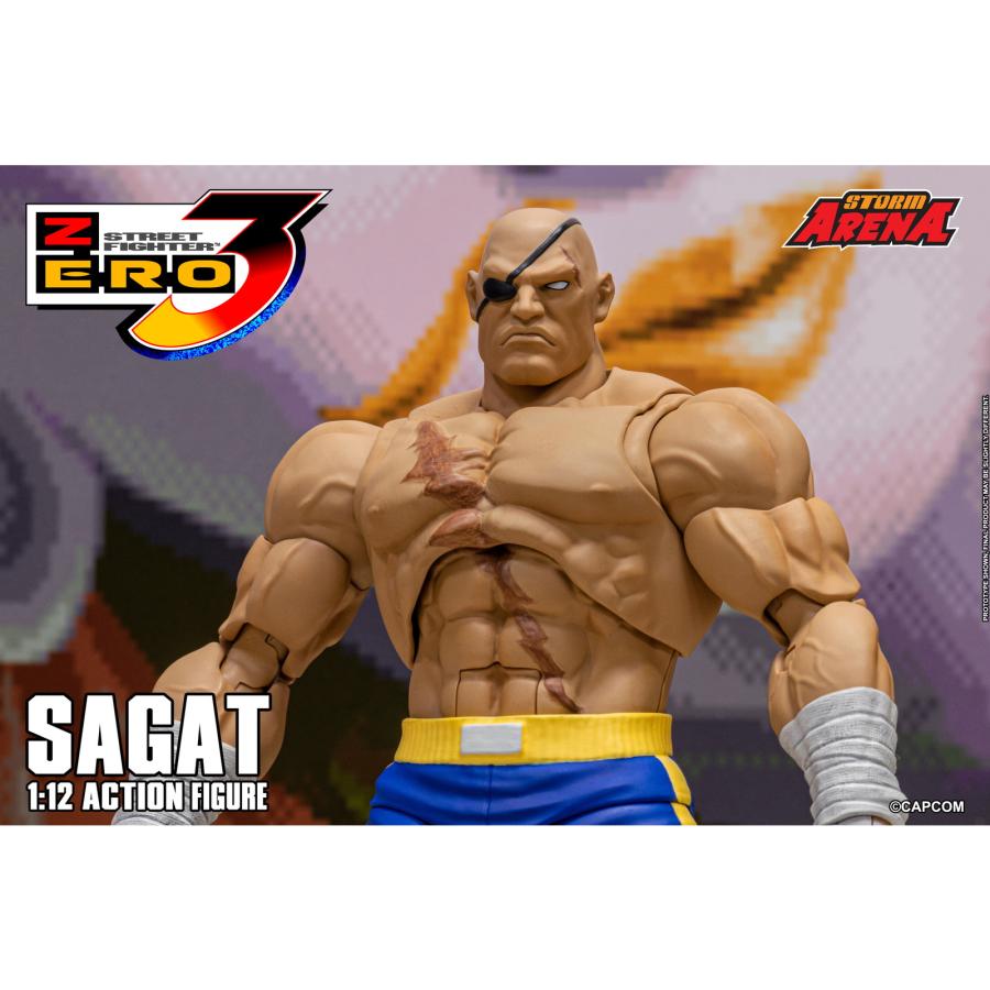 ストームコレクティブルズ　ストリートファイター II サガット フィギュア 予約安心発送』{FIG} Storm Arena(ストームアリーナ) サガット