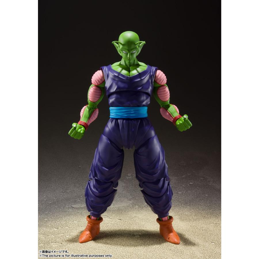 予約安心発送』{FIG} (再々販) S.H.Figuarts ピッコロ-誇り高き