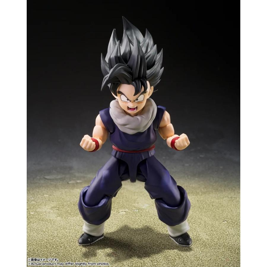 予約安心発送』{FIG} 初回限定〈Z戦士〉集結台座A付属 S.H.Figuarts 孫