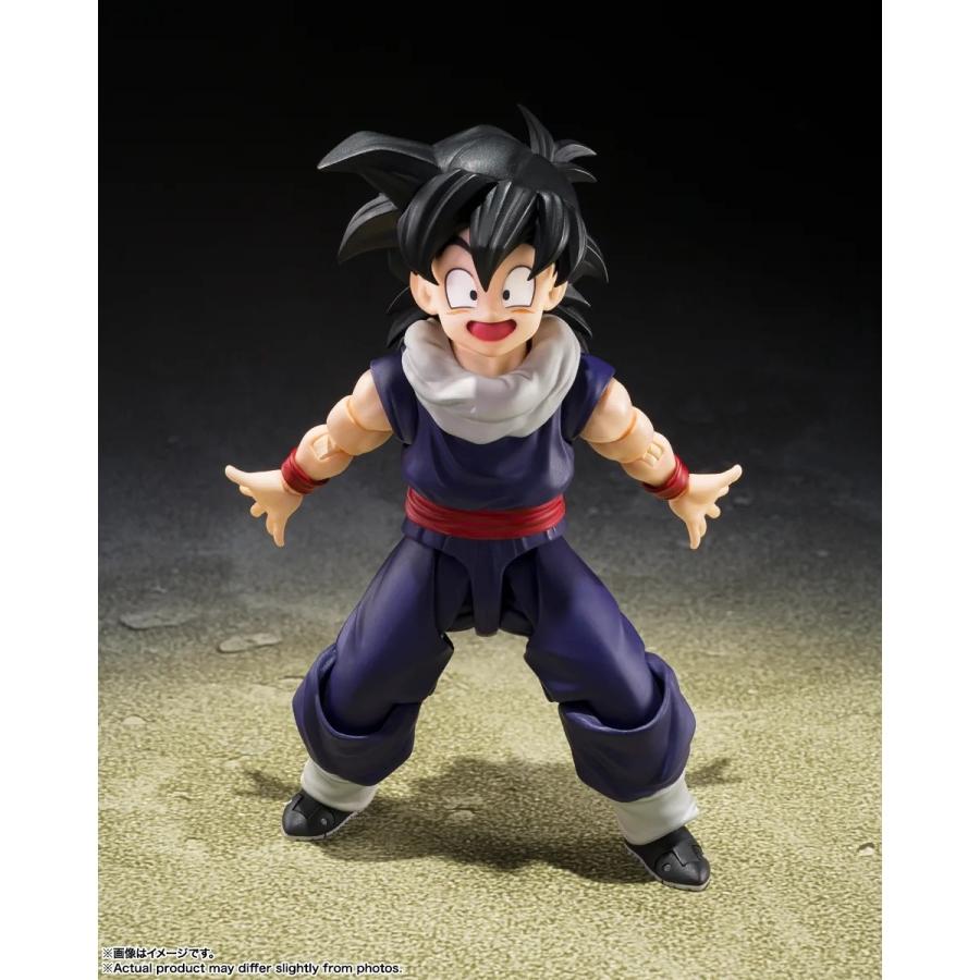 予約安心発送』{FIG} 初回限定〈Z戦士〉集結台座A付属 S.H.Figuarts 孫