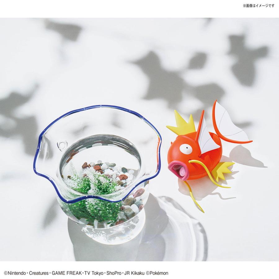 中古即納』{PTM} (再販) ポケモンプラモコレクション BIG No.01