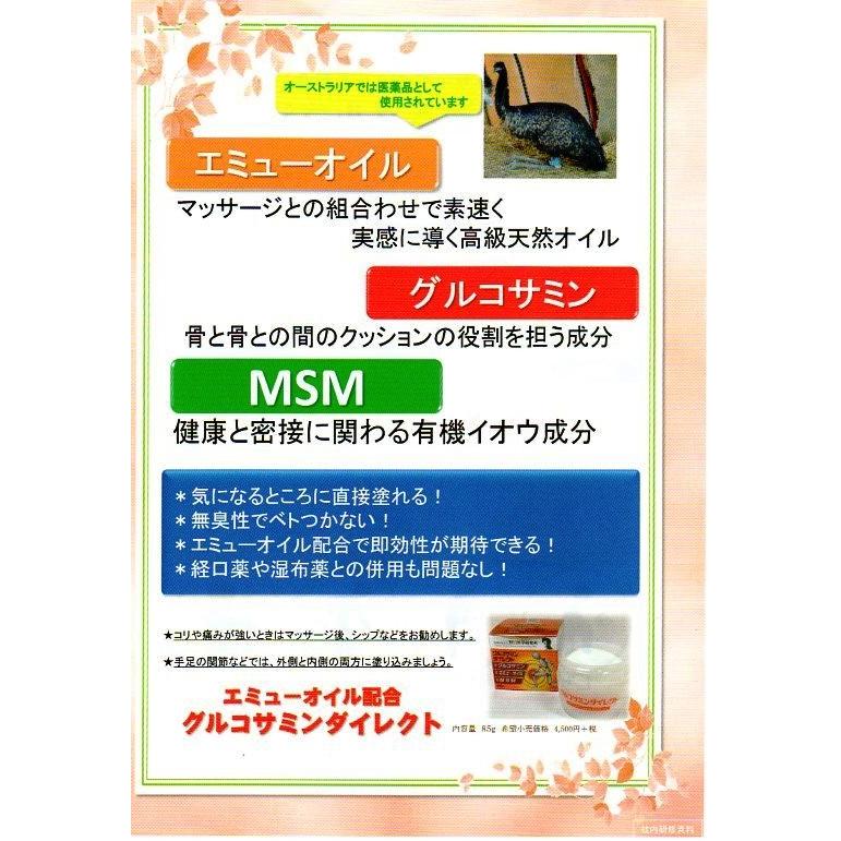 グルコサミンダイレクト 85g 5個 野口医学研究所 エミューオイル＆MSM