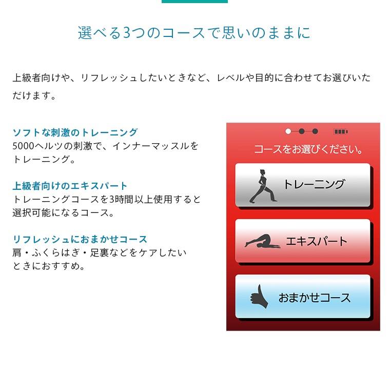 家庭用EMSマシン STYLIFT スタイリフト 5000ヘルツ 家庭用EMSマシン STYLIFT スタイリフト 5000ヘルツ