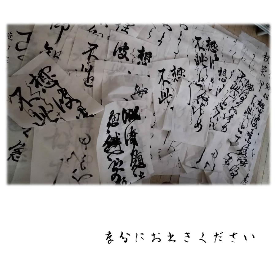手漉き画仙紙 睡蓮 すいれん 半切 仮名用 中国安徽省産 生産工場直送 