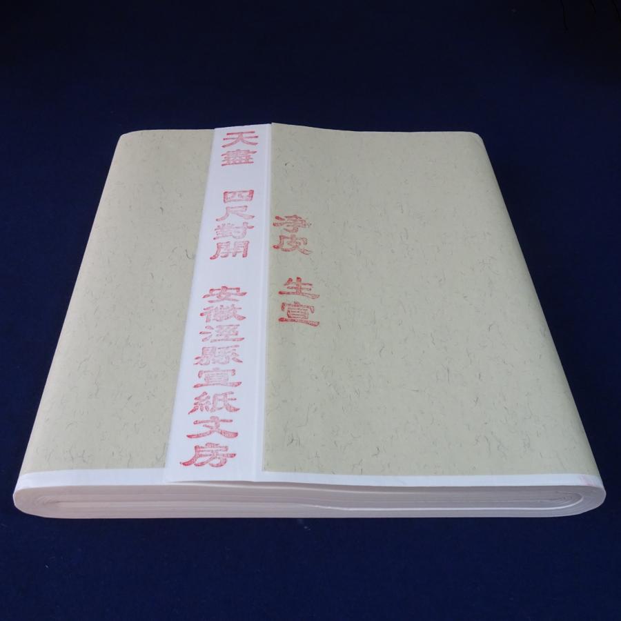 手漉き画仙紙 天盡 てんじん 半切（34.5cm×138cm）漢字用 中国安徽省産