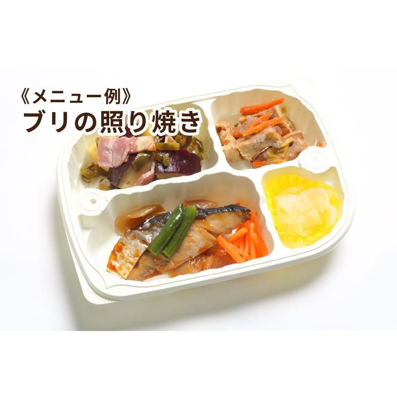 定期便　送料無料　塩分制限食　7食セット　冷凍弁当　ダイエット　健康食　宅配　減塩｜medimeal｜05