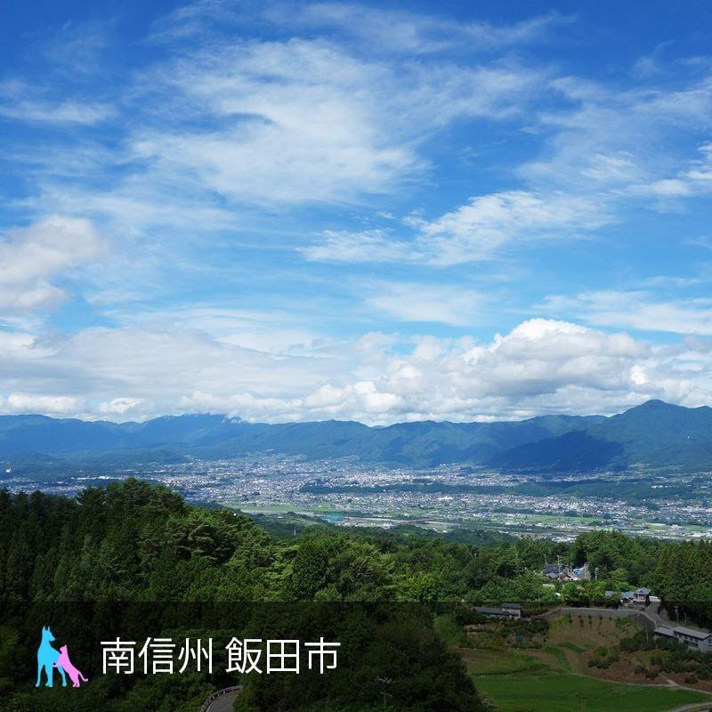 犬 猫 ペット用 免疫力の元気は日々の健康管理から 冬虫夏草サプリメント プライオ45g 3個セット |  | 06