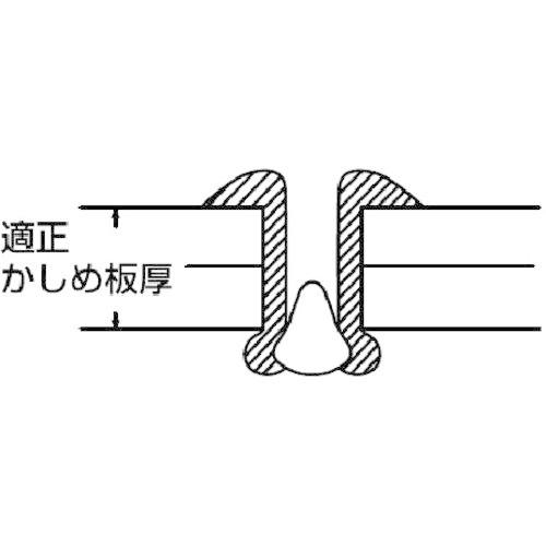 正式 エビ ブラインドリベット（ステンレス／ステンレス製） ６−８（１０００本入） 箱入 1箱