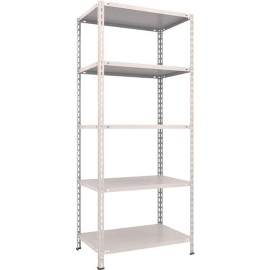 ＴＲＵＳＣＯ 軽量棚 中棚ボルトレス型 ８７５Ｘ６００Ｘ２１００ ５段 ネオグレー 1台