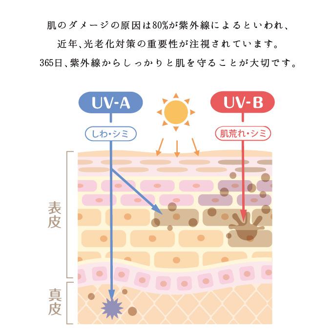 Lov me Touch ラブミータッチ シルキーUVミルク SPF50+ PA++++ 50g 日焼け止め ひやけどめ 上原恵理 さわらない美容 美容大事典 辞典 本 |  | 04
