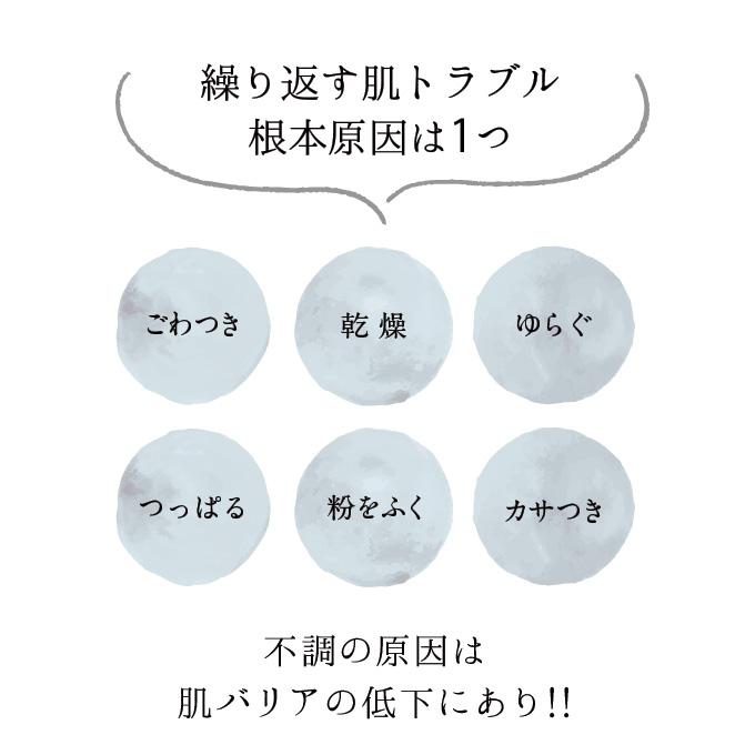 乳液 ナノエマルジョン 乾燥 保湿 Lov me Touch ラブミータッチ スキンバリアナノミルク リッチ 高濃度セラミド15% 50mL 上原恵理 医師 |  | 03