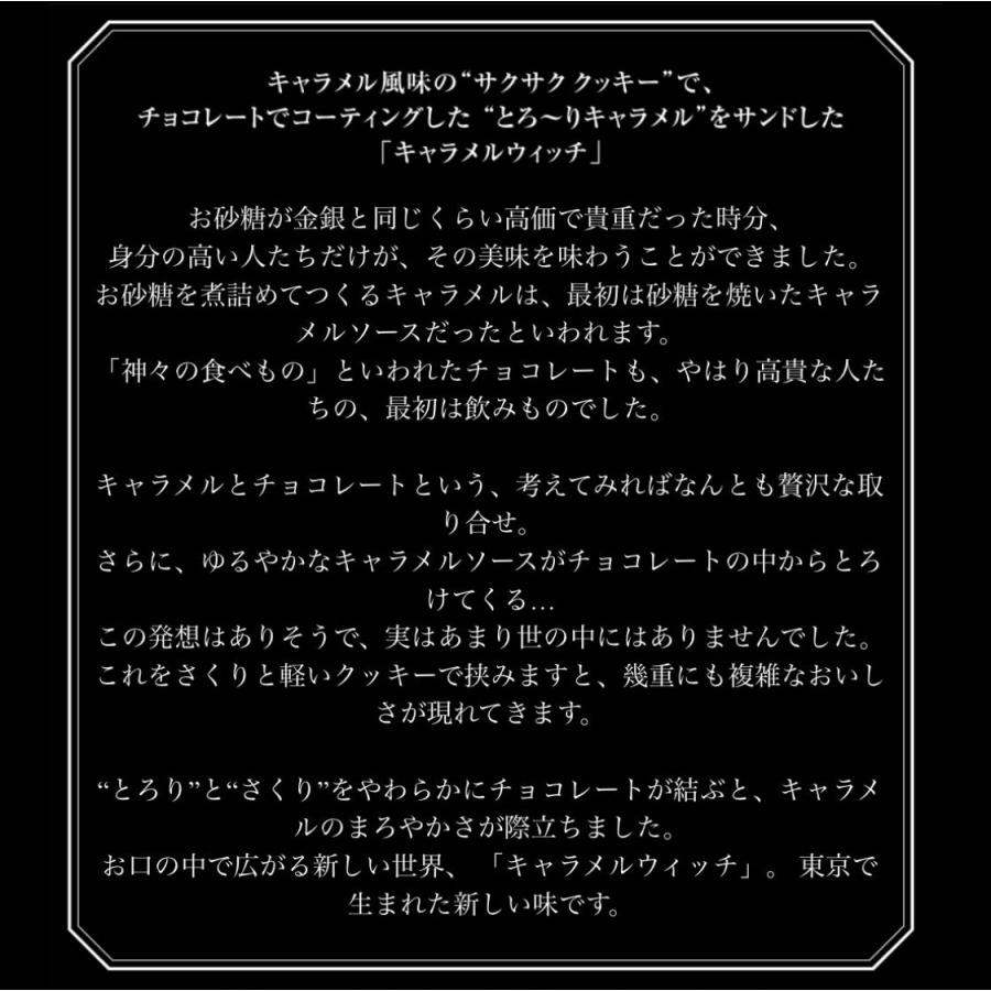 チーズウィッチ 5個入 東京駅限定 クッキー 東京土産 ギフト プレゼント 販売店舗限定 チョコレート お土産袋付き Cws5 Meecolle 通販 Yahoo ショッピング