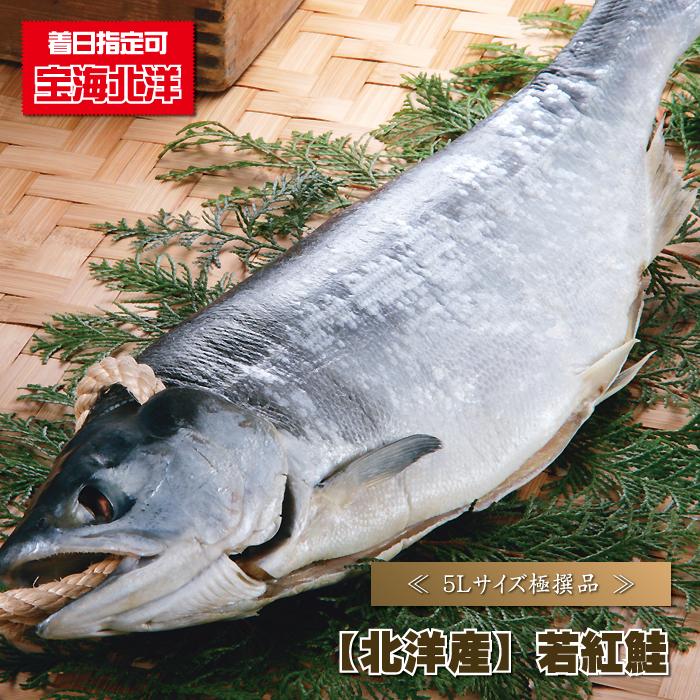 鮭 サケ 北洋産 若紅鮭 半身 さけ しゃけ シャケ : 青森めぇーもん屋