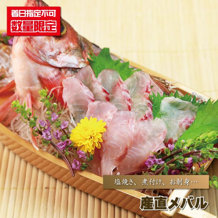 メバル めばる 産直メバル 300ｇ前後 眼張 眼張魚 鮴 青森めぇーもん屋 通販 Yahoo ショッピング