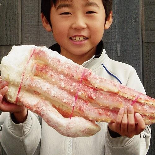 タラバガニ 特大 送料無料 超希少 王様タラバガニ脚 1肩ドーンと８００ｇ前後 たらばがに たらば蟹 タラバ蟹 鱈場蟹 シュリンク_1