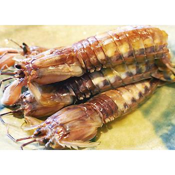 しゃこ 蝦蛄 春季限定 殻付き煮シャコ ガサエビ がさえび 青森めぇーもん屋 通販 Yahoo ショッピング