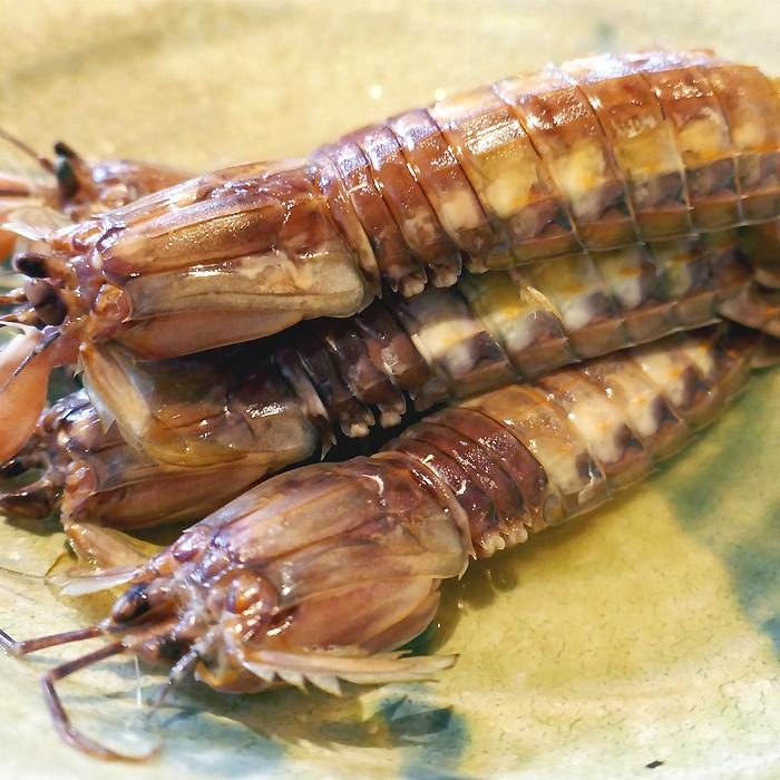 しゃこ 蝦蛄 春季限定 殻付き煮シャコ ガサエビ がさえび : 青森めぇー