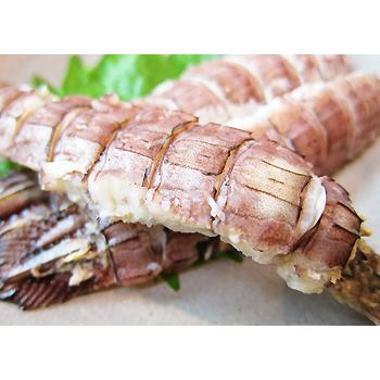 しゃこ 蝦蛄 春季限定 殻付き煮シャコ ガサエビ がさえび 青森めぇーもん屋 通販 Yahoo ショッピング