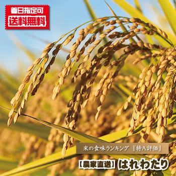 令和6年産 新米 青森県 送料無料 はれわたり 5kg袋 晴れわたり