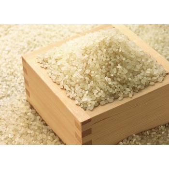 令和6年産 新米 青森県 送料無料 はれわたり 10kg袋 晴れわたり