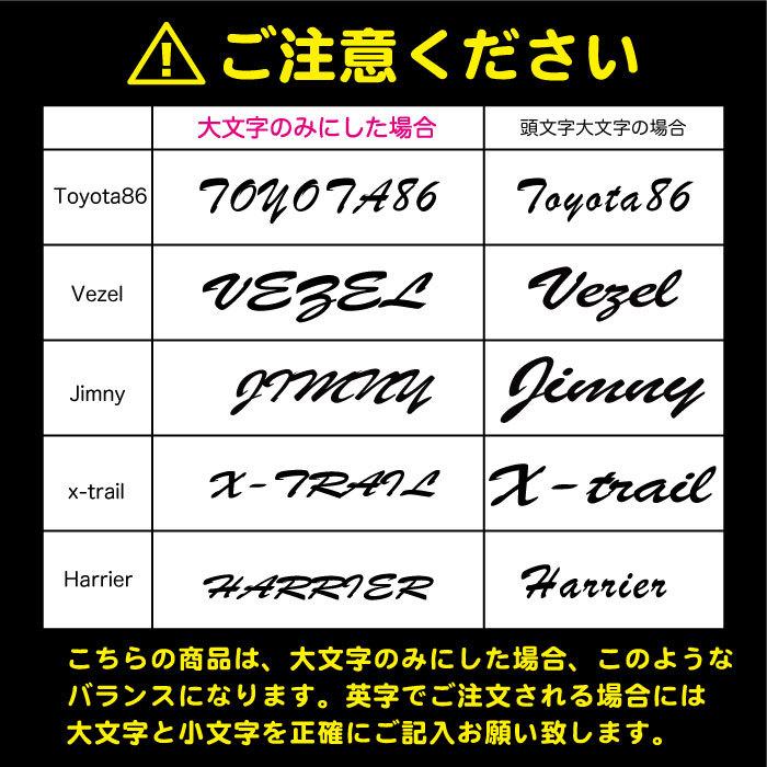 3M 車名入りブラッシュ筆記体文字ステッカー【車名文字変更無料】【横