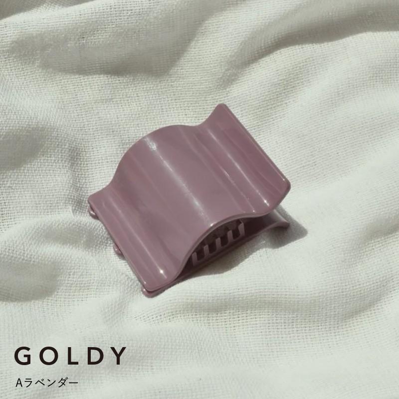 ワイド ウェーブ アセチ ヘアー クリップ "2" GOLDY ゴールディ 6230706 goldy ヘアアクセサリー レディース ヘアアクセ goldy ヘアーアクセサリー | GOLDY | 01