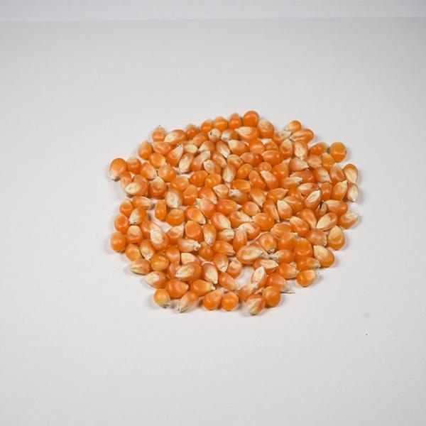 ポップコーン 豆 種 アリサン 有機ポップコーン 250g ３袋セット 送料無料｜mega-health｜02