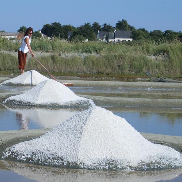 ゲランドの塩 一番塩 125g フルール・ド・セル 4袋セット 送料無料｜mega-health｜04
