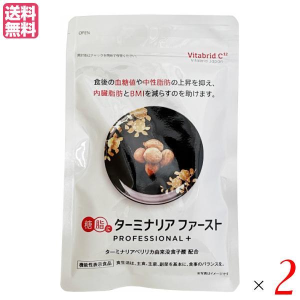 1/11(日)限定！ポイント+5%】ターミナリアファースト