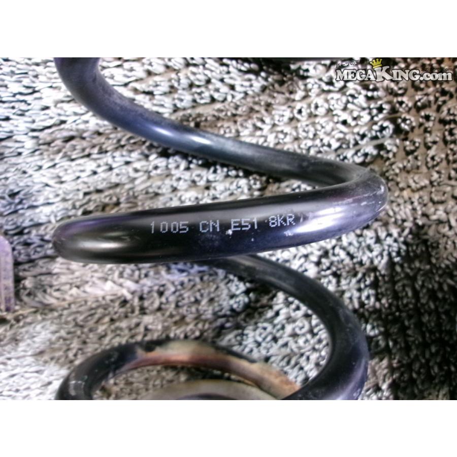 NE51 エルグランド TANABE タナベ SUSTEC PRO サステックプロ ネジ式