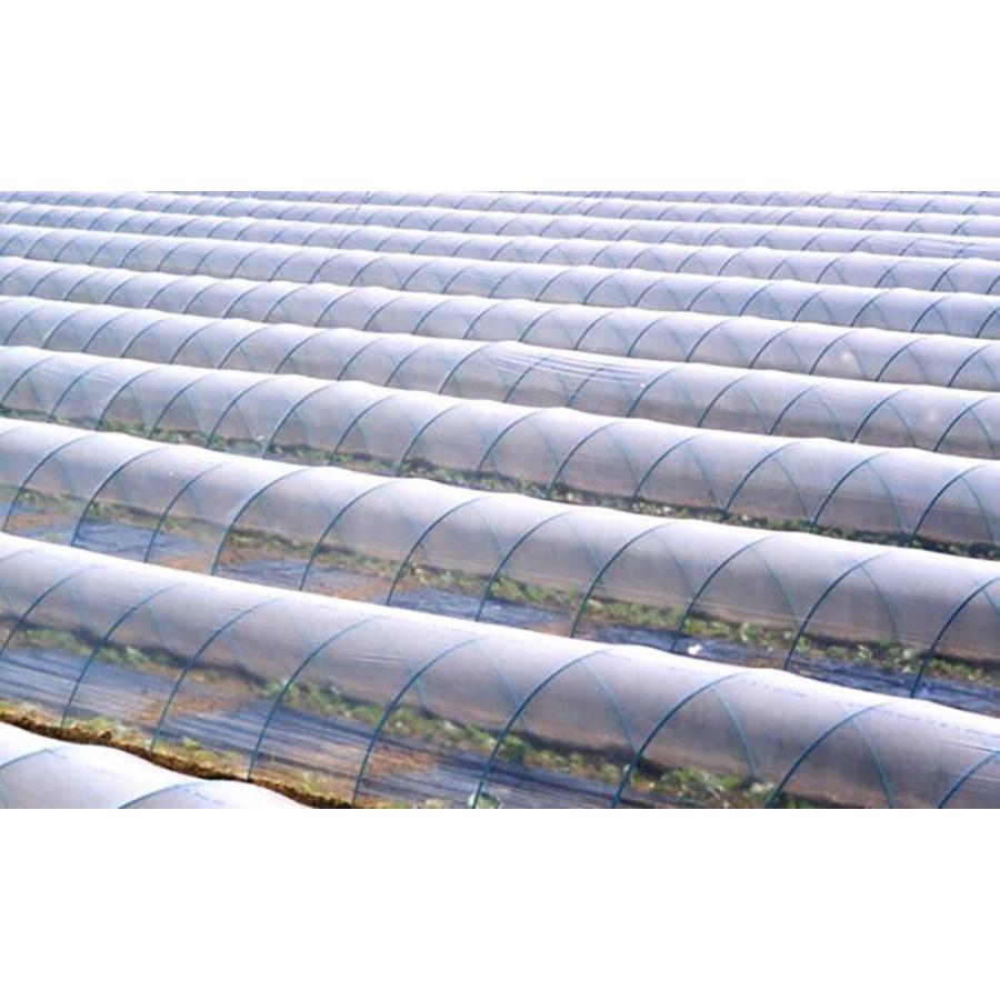 グラスファイバーポール 5.5mm×1500mm 100本入り トンネル支柱 FRP