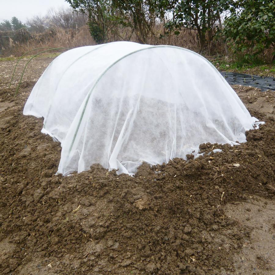 SHINSEI トンネル支柱 Φ11mm×2700mm 50本 園芸支柱 家庭菜園 法人