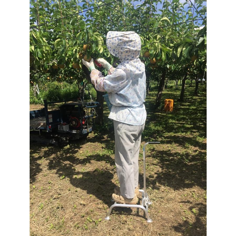 アルミステップ SH-30 高さ30cm 果樹用踏台 棚下用 造園 剪定 洗車