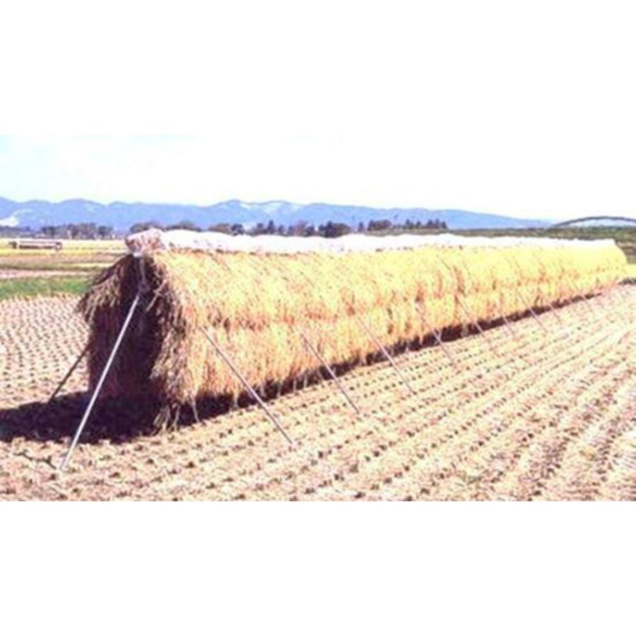 はせ掛け三脚支柱 1段タイプ 2本セット 稲干台 スチール製 法人様送料