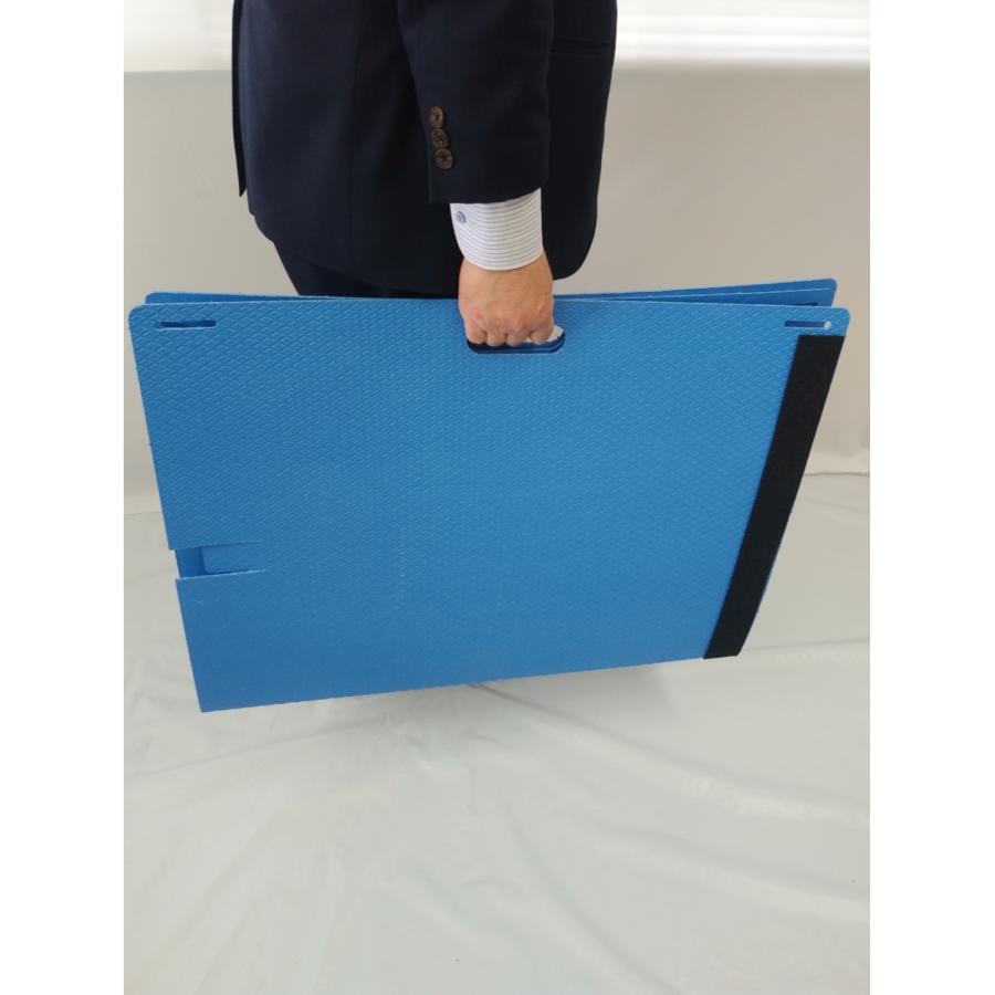 備えあれ板 3枚入り 水害防止パネル 日大工業 004954 浸水対策 水害