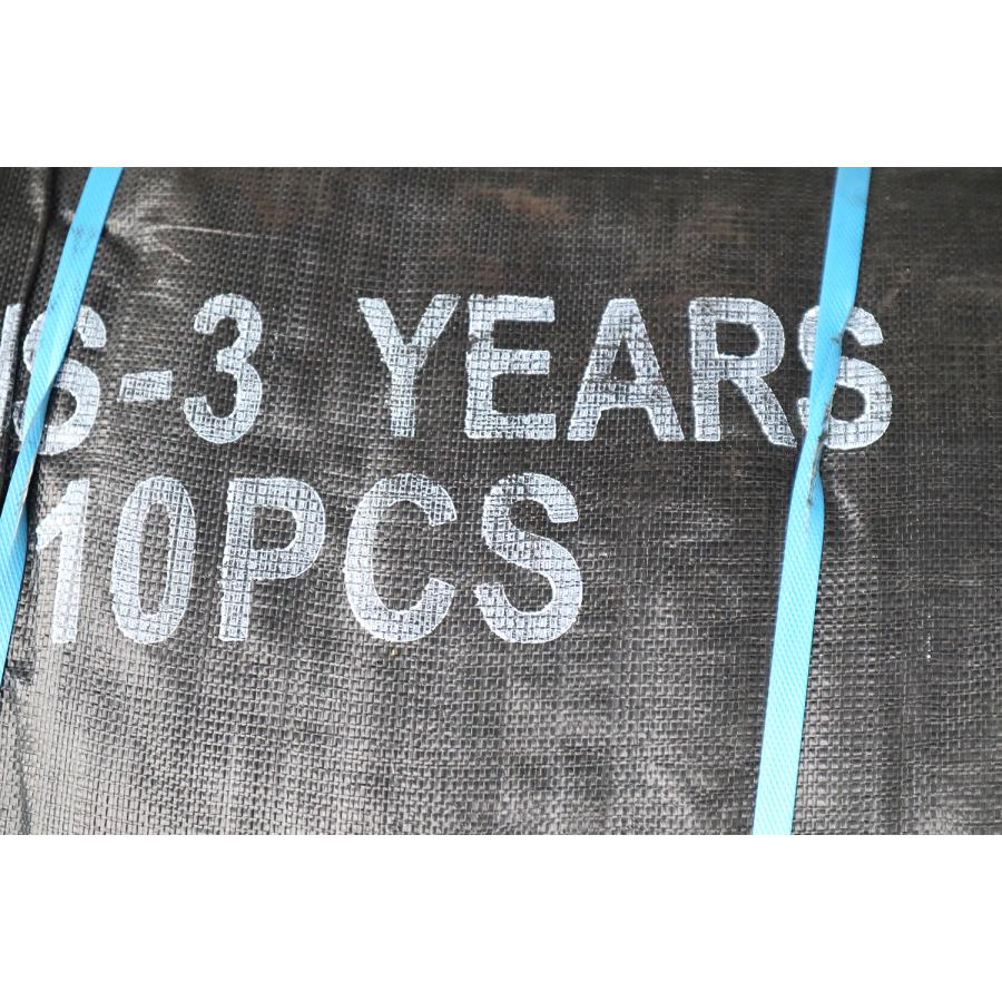 耐候性大型土のう 3年対応品 10枚 2t 黒 送料無料 |  | 02