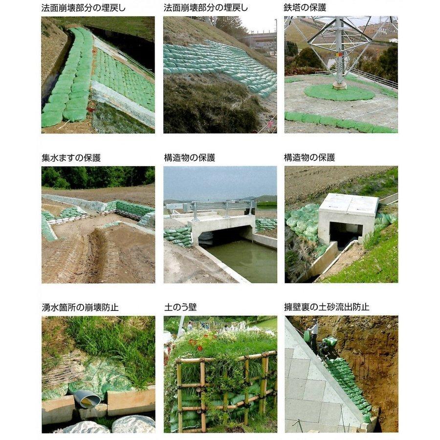 植生土のう 100枚入り ロンタイ グリーンバッグ 送料無料 |  | 06