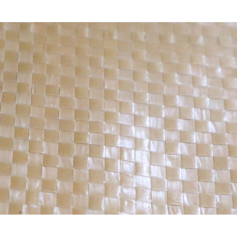 ガラ袋 厚手 60cm×90cm 200枚入り 重量100ｇ/枚 ベージュ 強力ガラ袋 |  | 02