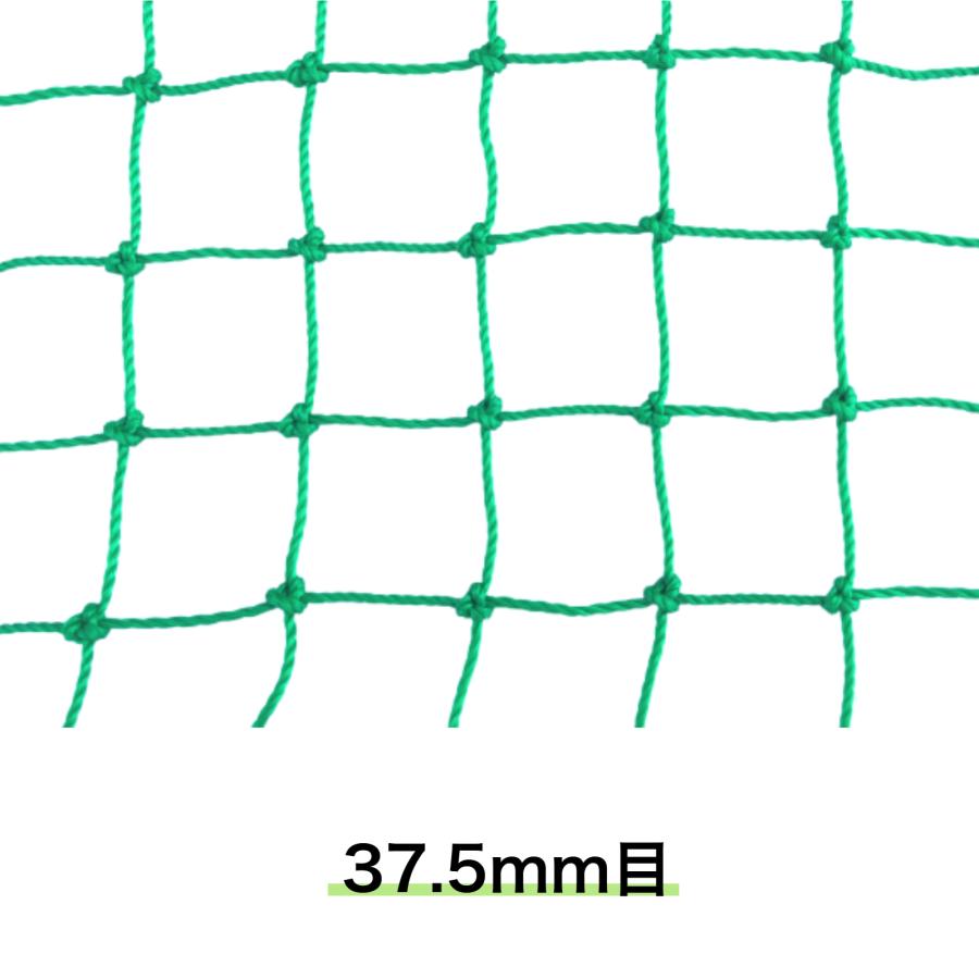 バッティングネット ロール巻 1ｍ×30ｍ 37.5ｍｍ目 防球ネット 野球練習用ネット 多目的ネット グリーンネット 防獣ネット 防獣 防鳥 園芸 |  | 06