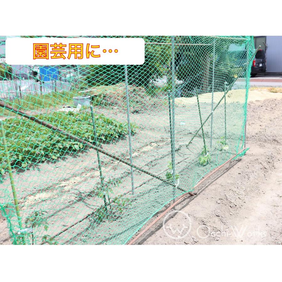 PE養生ネット 5m×10m ポリエチレン 25mm目 万能ネット 園芸ネット