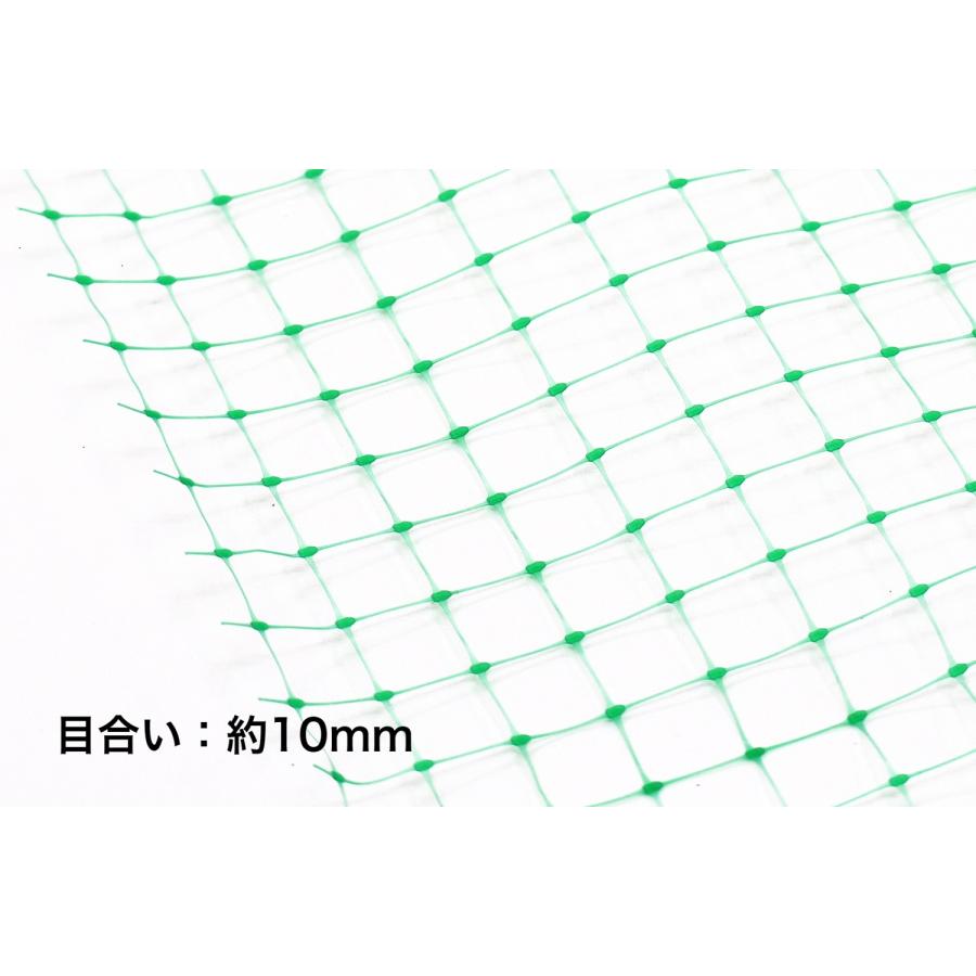 カルカルネット 4ｍ×5ｍ 超軽量ネット グリーンネット 鳥よけネット 防鳥ネット |  | 01