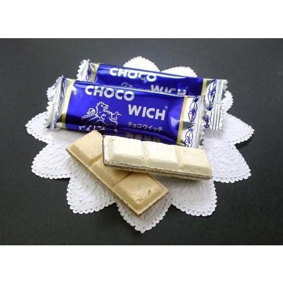 チョコウィッチ 500g×10袋 B-14 チョコウィッチ 500g×10袋