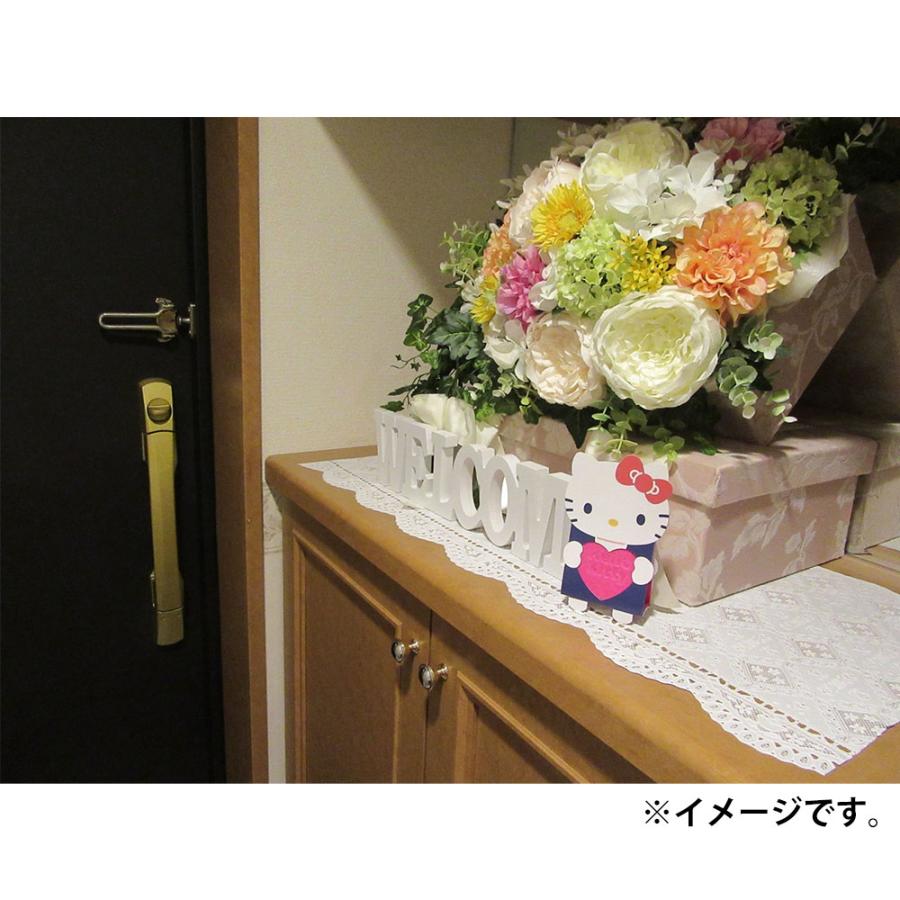 気になるニオイとり ハローキティ 2-3ケ月用 × 120点_4