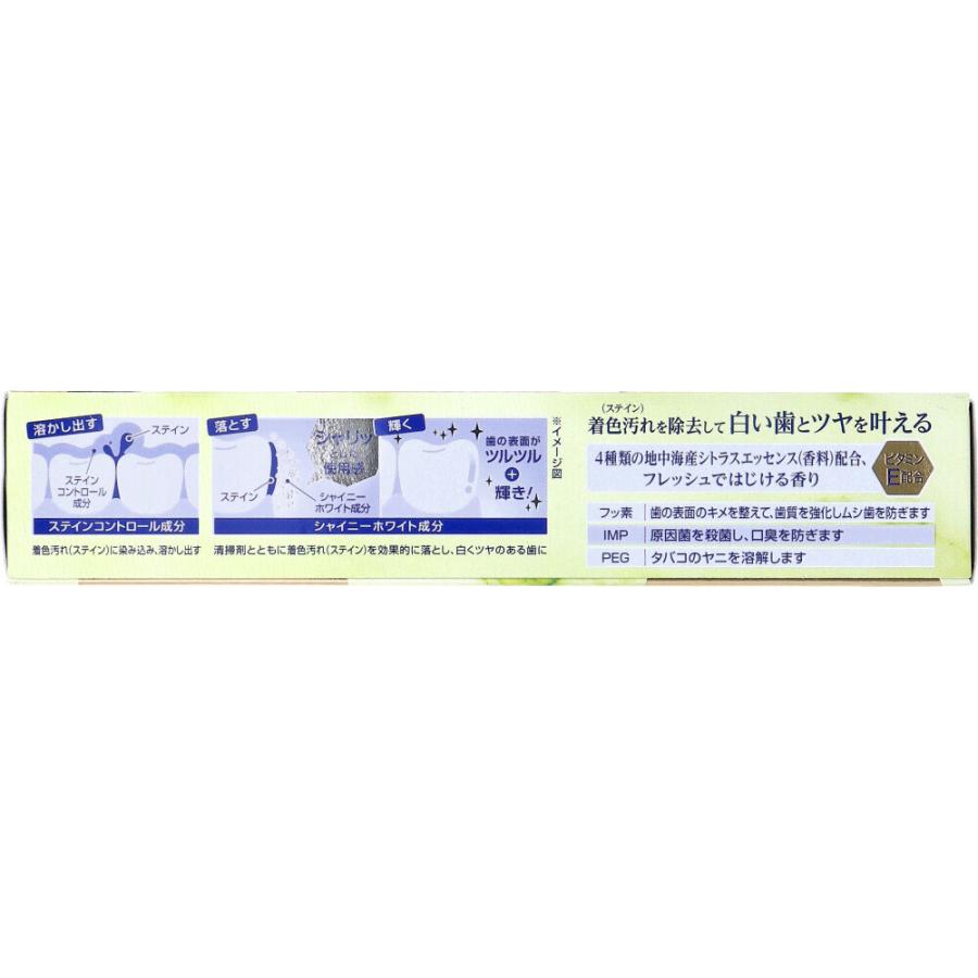Ora2(オーラツー) プレミアム ステインクリア ペースト シャイニーシトラスミント 100g × 80点の画像